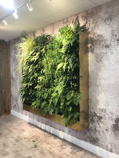 Living walls in a high rise hotel