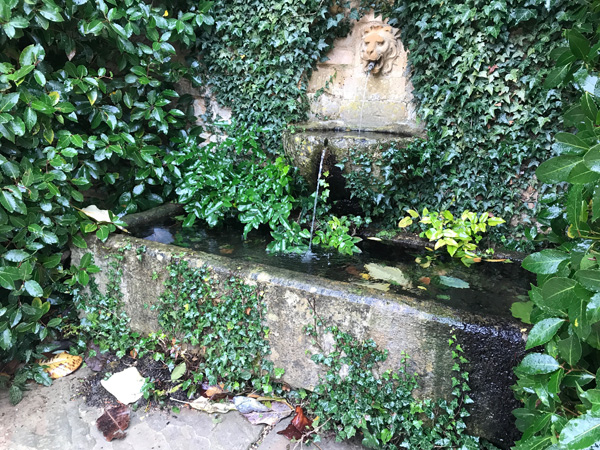 lovely stone trough fed with water from a wall spout