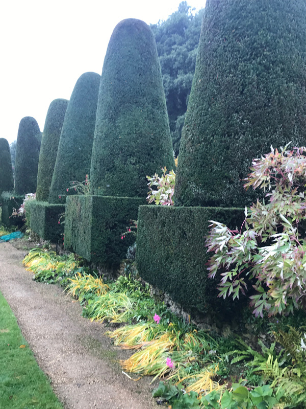 Topiary at Hidcote Manor Gardens