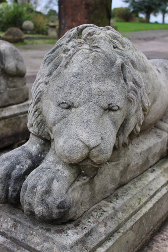 Stone Lions in the garden