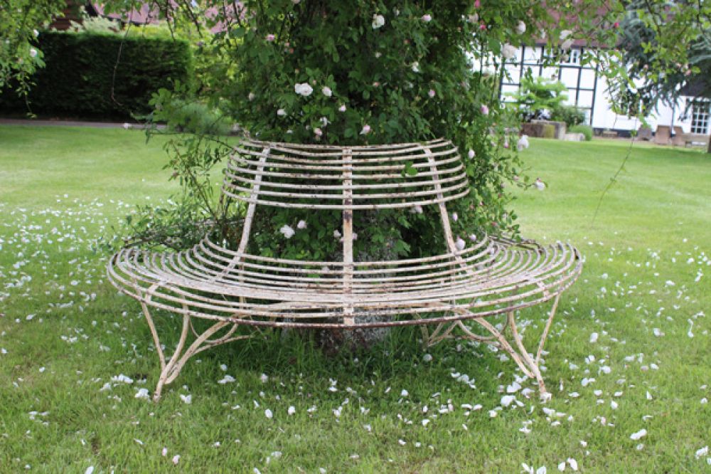 Top Condition Mid 19th C Arras Tree Seat (Stk No.3629)