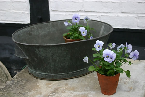 Garden Antique Photos