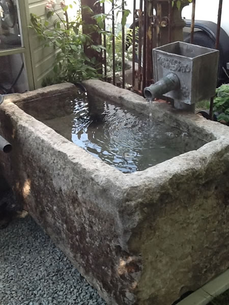 Garden Antique Photos