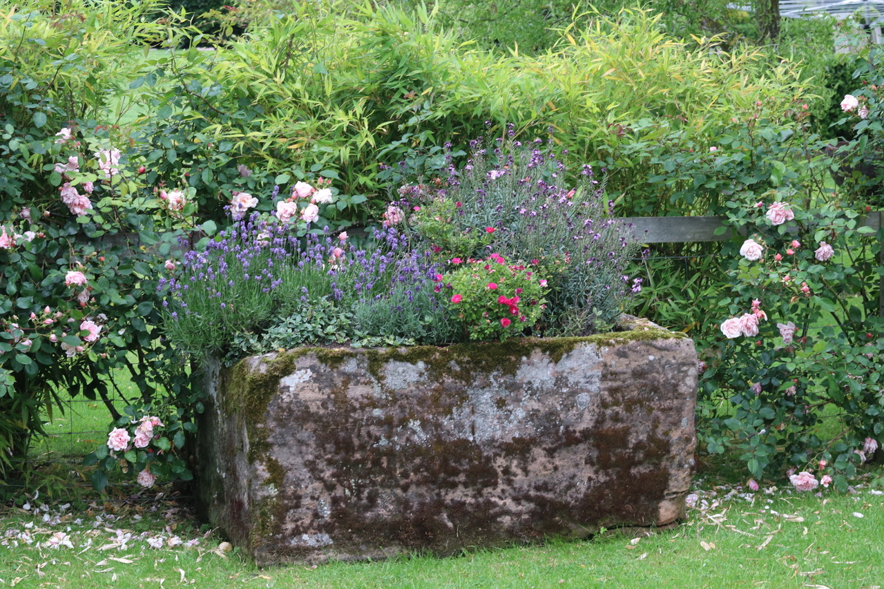Garden Antique Photos