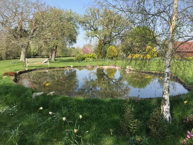 Pond planting