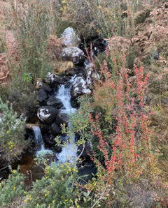 brook, water fall