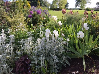 Flower bed