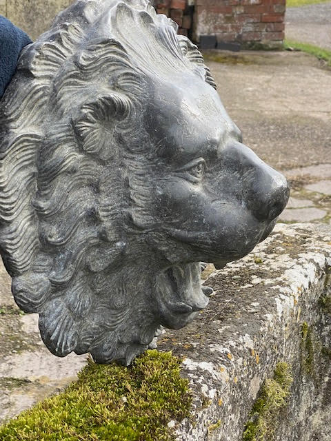 Lion head spout