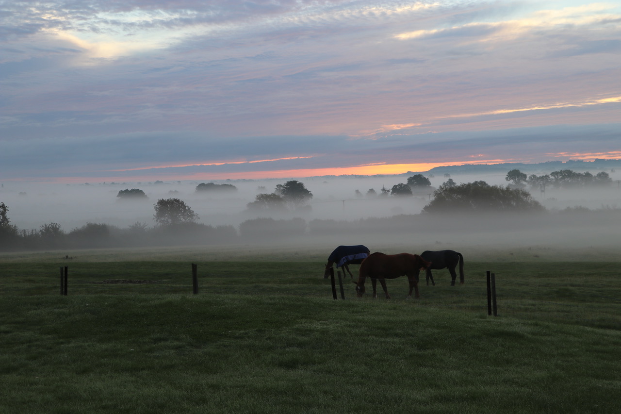 Cowsden Autumn View