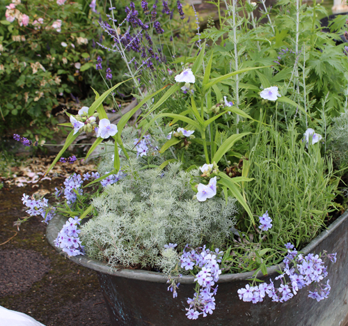 Washtub planter