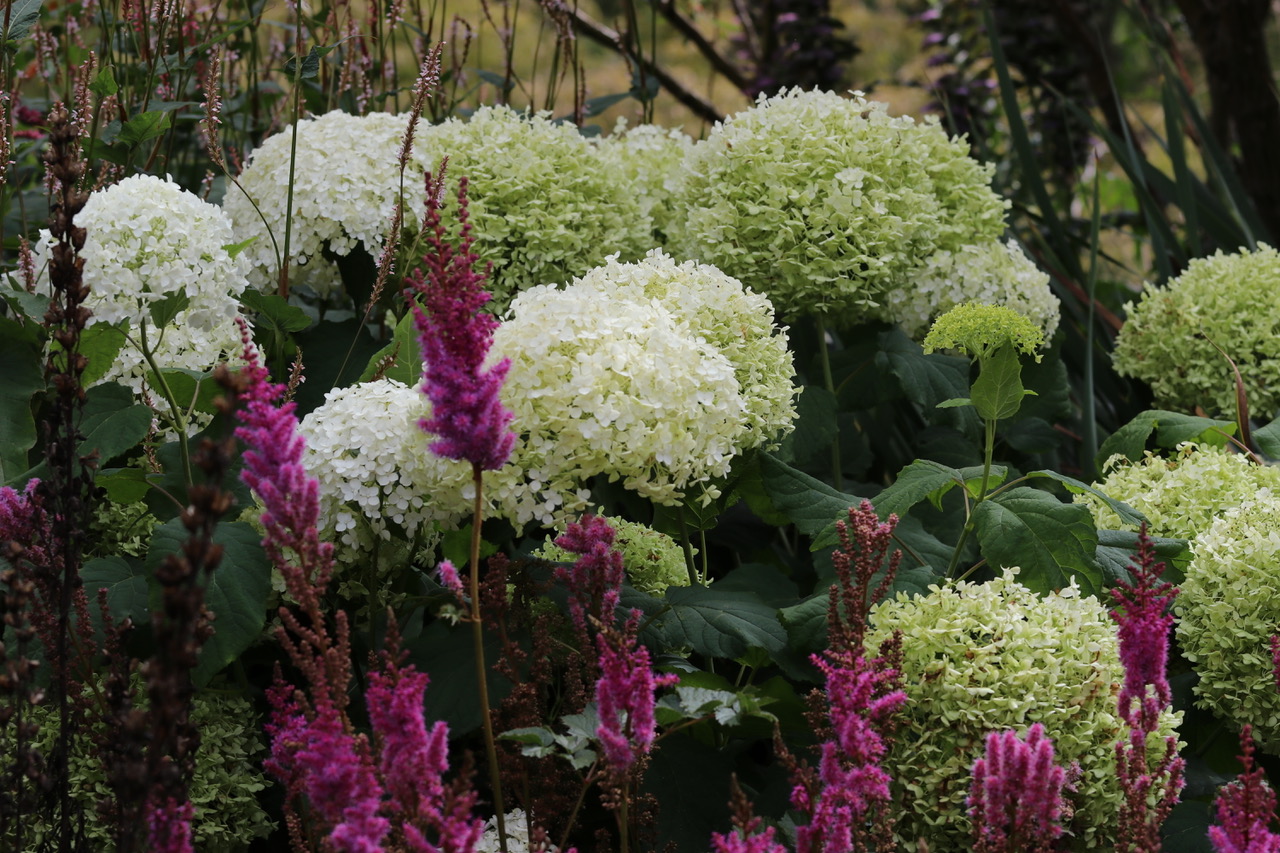 Powis Castle Gardens