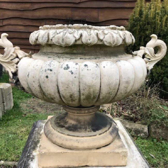 Large Buff Coloured Highly Decorative Pulham Urn (Stk No.3373)