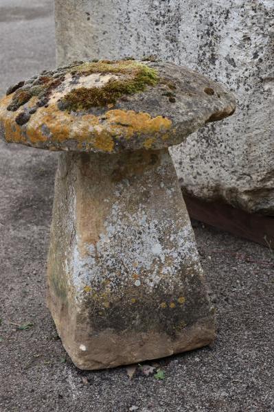 S O L D    Large Mossy Topped Limestone Staddle (Stk No.3960)