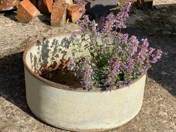 Rolled Top Cast Iron Planter (Stk No.3968)